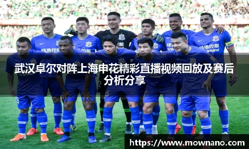 武汉卓尔对阵上海申花精彩直播视频回放及赛后分析分享