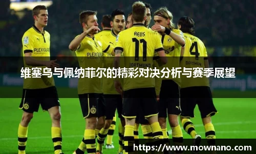 维塞乌与佩纳菲尔的精彩对决分析与赛季展望